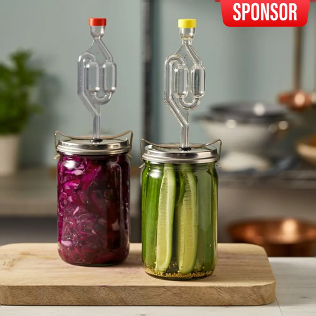 Sauerkraut and pickles fermenting in airlock jars