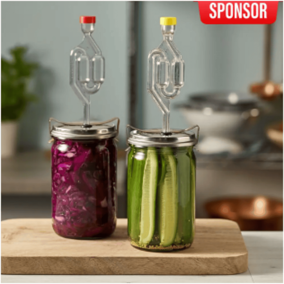 Sauerkraut and pickles fermenting in airlock jars